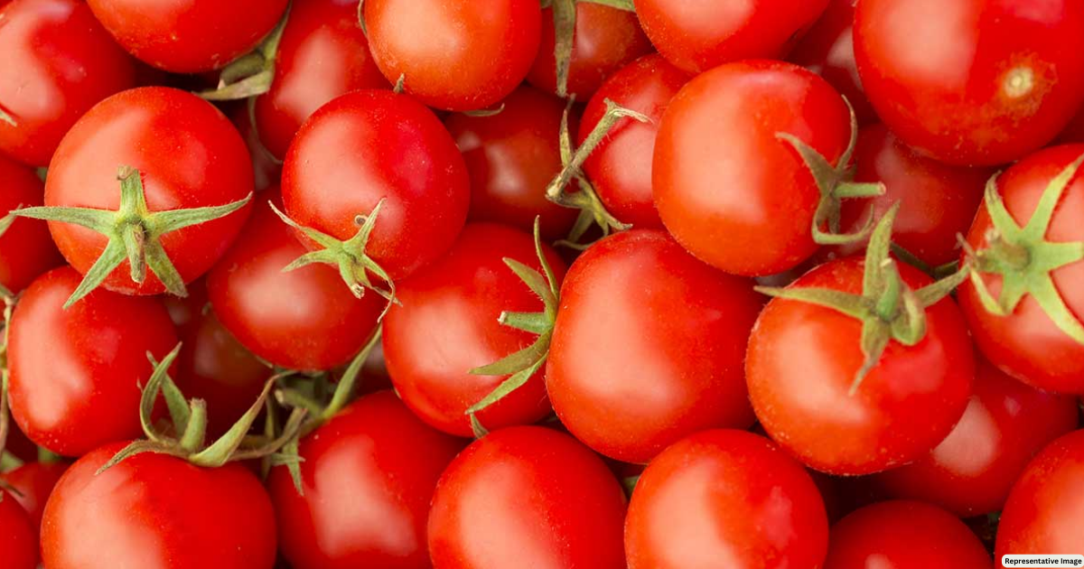400 kg of tomatoes stolen from Pune farmer, case registered